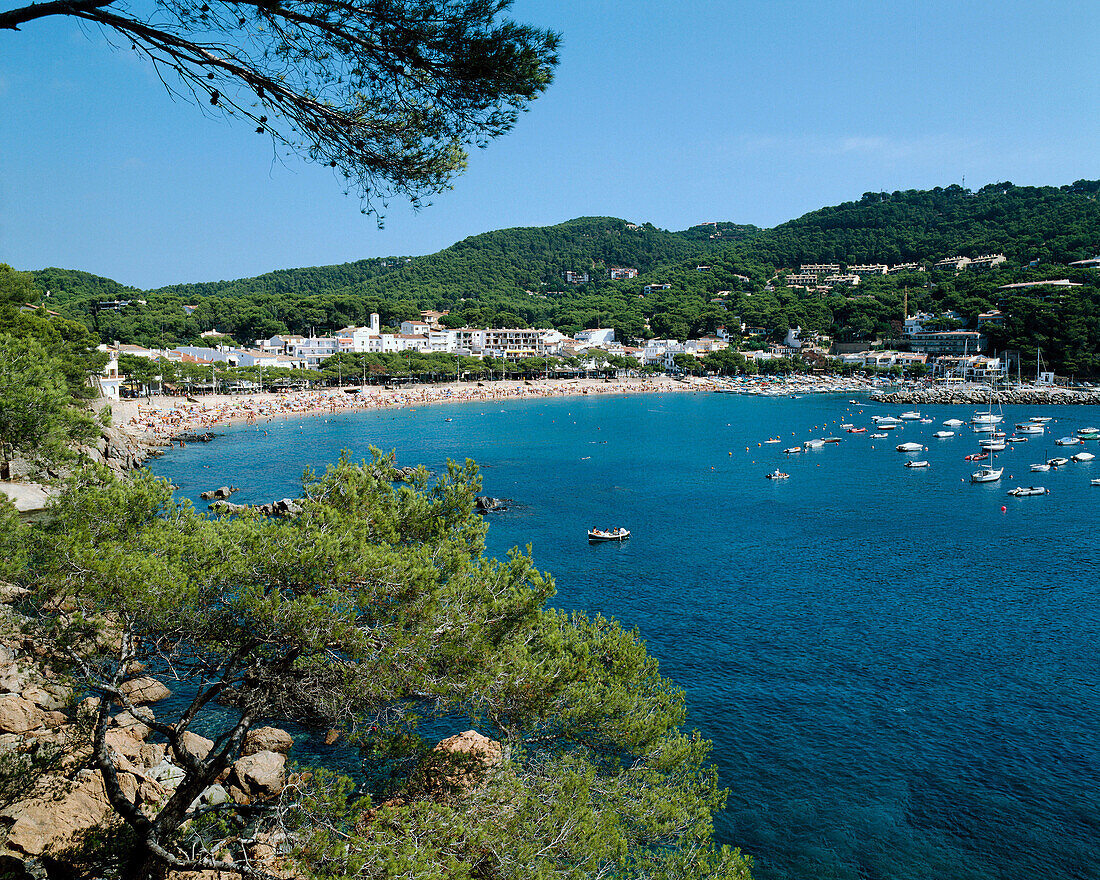 Llafranc. Costa Brava. Girona province. Catalonia. Spain