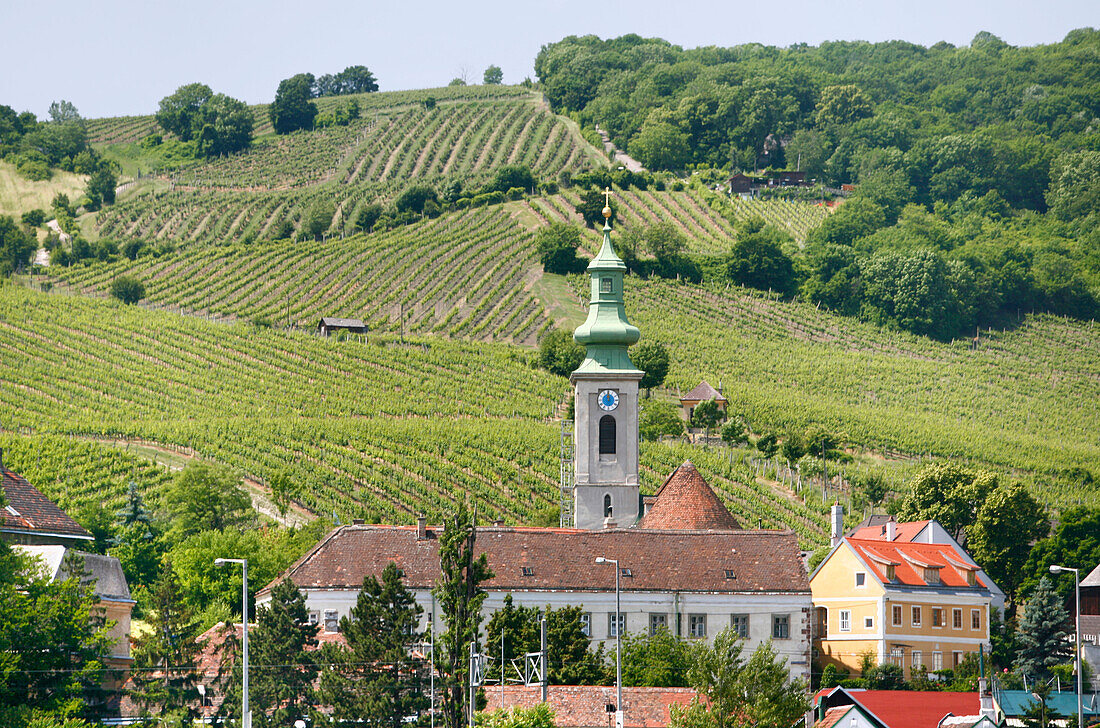 View to market church, Engelhartszell, Upper Austria, Austria