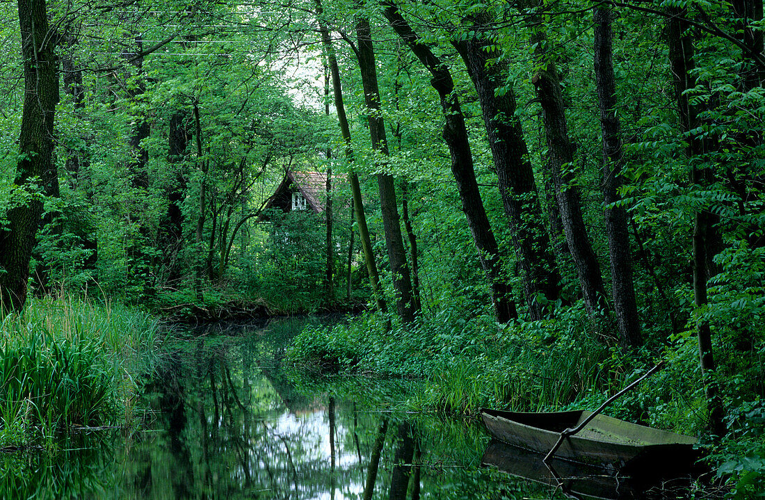 River with boat in the Spree forest, Brandenburg, Germany, Europe