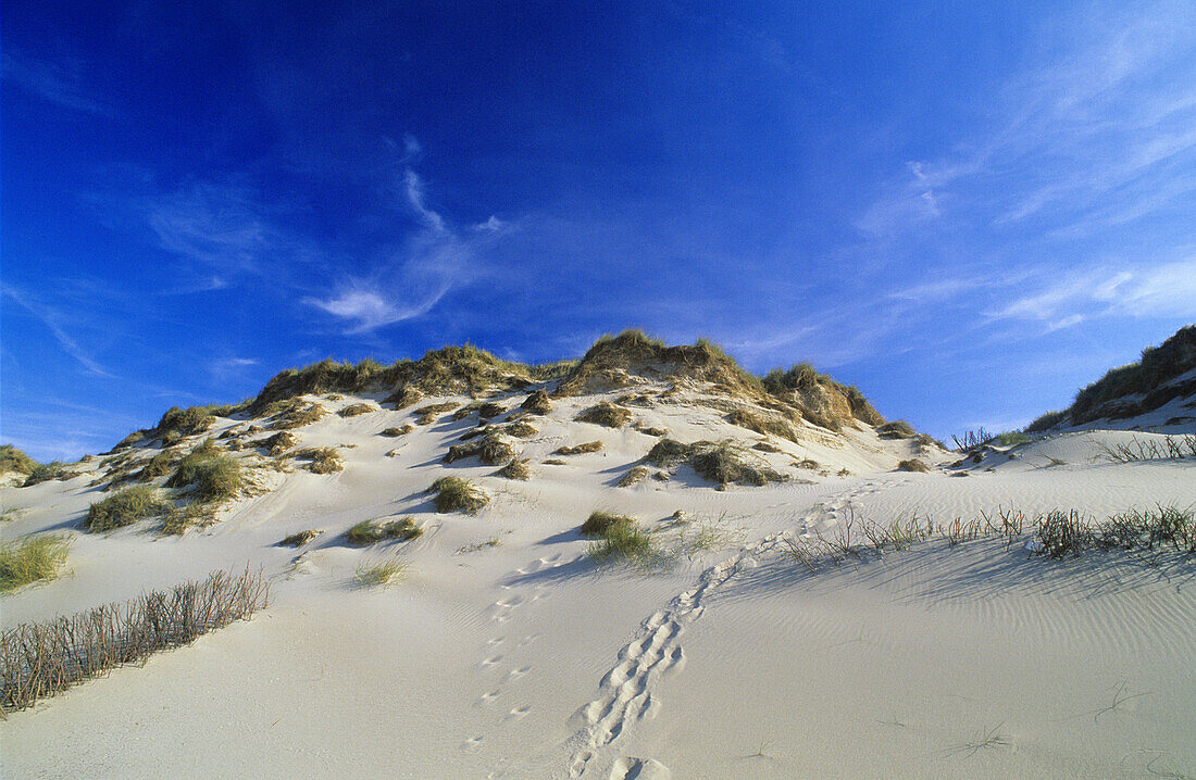 Fußspuren im Sand, Ostindienfahrerhuk, Ellenbogen, Sylt, Schleswig-Holstein, Deutschland
