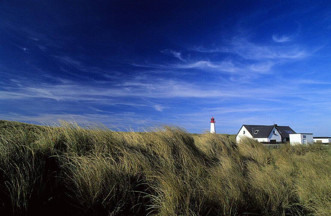 Lighthouse List West, Ostindienfahrerhuk, Ellenbogen, Sylt island, Schleswig-Holstein, Germany