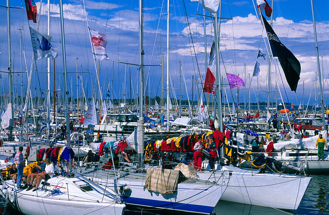 Sailing boats at marina during Kiel week, Kiel, Schleswig Holstein, Germany, Europe