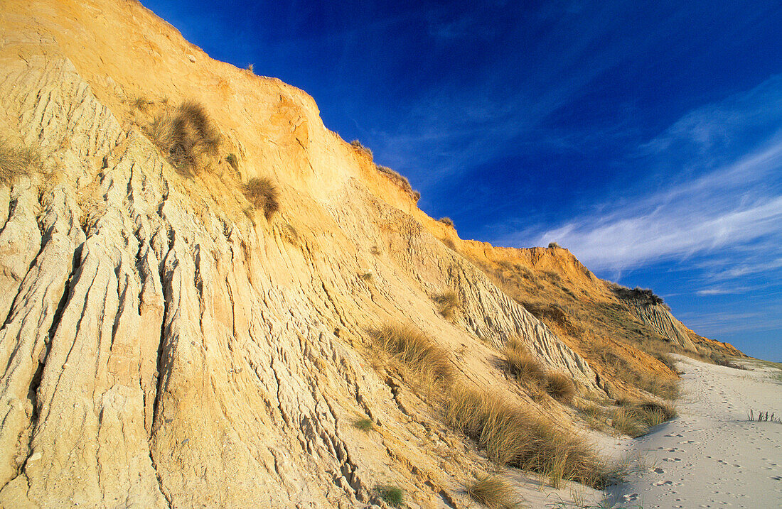 Red cliff in the sunlight, Sylt island, Schleswig Holstein, Germany, Europe