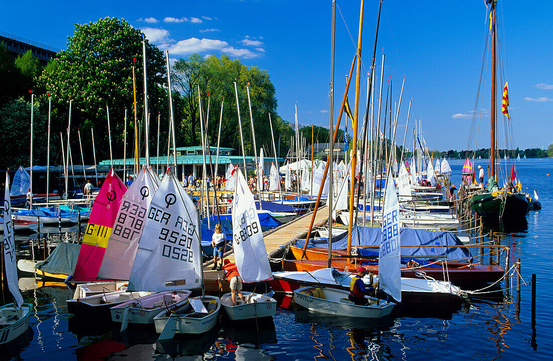 Europe, Germany, Hamburg, small pier with sailing boats at the Aussenalster