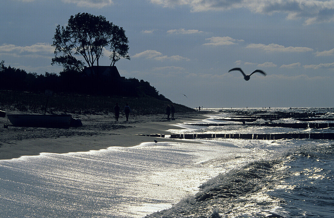 Personen laufen Strand entlang, Seebad Ahrenshoop, Mecklenburg-Vorpommern, Deutschland