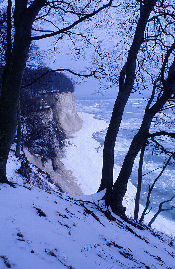 Chalk cliffs in winter, Jasmund National Park, Rugen island, Mecklenburg-Western Pommerania, Germany