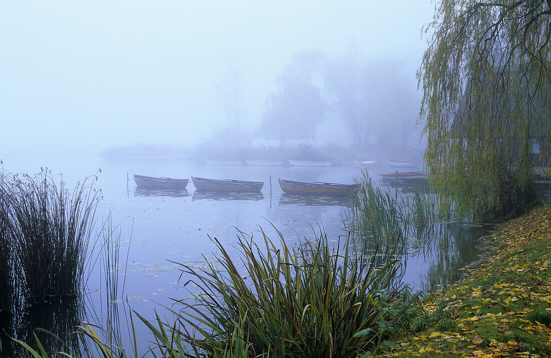 Fog over lake Seeburg, Seeburg, Eichsfeld, Lower Saxony, Germany