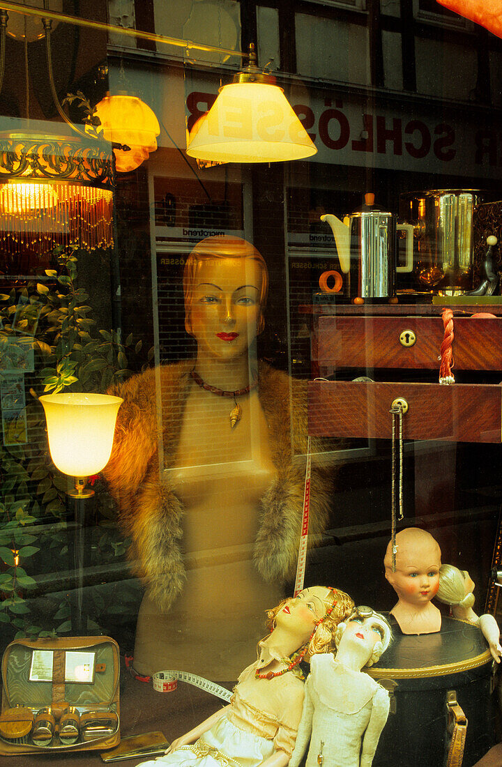 Europe, Germany, Lower Saxony, Göttingen, shop window of an antique shop