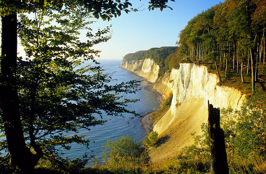 Europa, Deutschland, Mecklenburg-Vorpommern, Insel Rügen, Kreidefelsen im Nationalpark Jasmund, Hohes Ufer