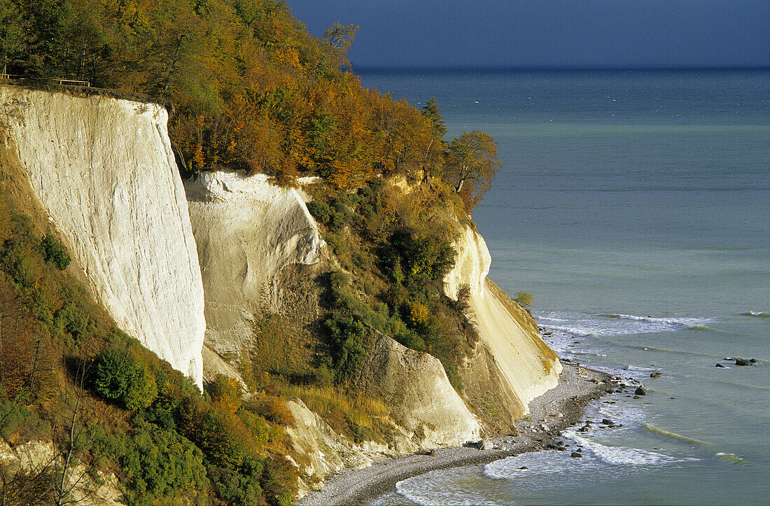 Chalk cliffs in autumn, Jasmund National Park, Rugen island, Mecklenburg-Western Pommerania, Germany