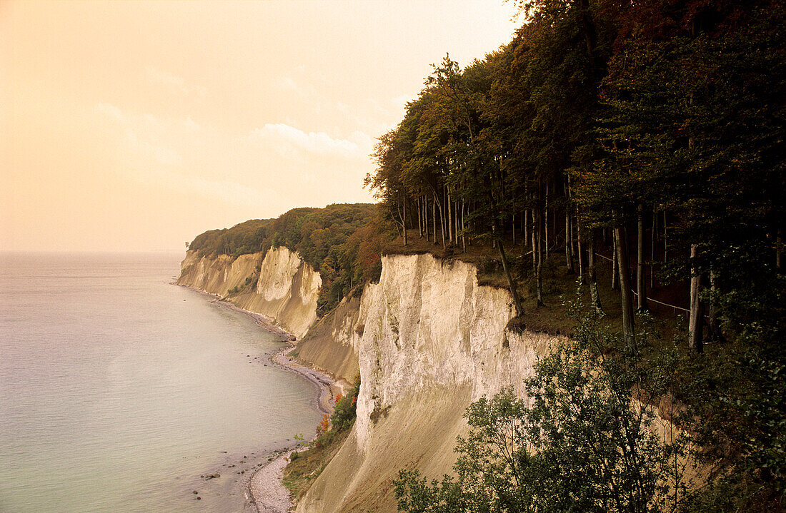 Europa, Deutschland, Mecklenburg-Vorpommern, Insel Rügen, Kreidefelsen im Nationalpark Jasmund, Hohes Ufer