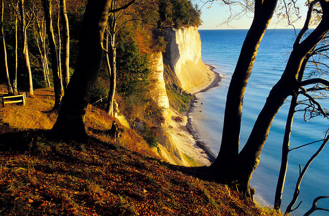 Europe, Germany, Mecklenburg-Western Pommerania, Rügen, chalk cliffs at Jasmund National Park