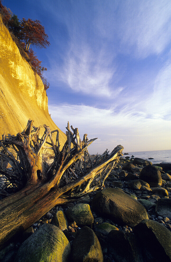 Chalk cliffs, Jasmund National Park, Rugen island, Mecklenburg-Western Pommerania, Germany