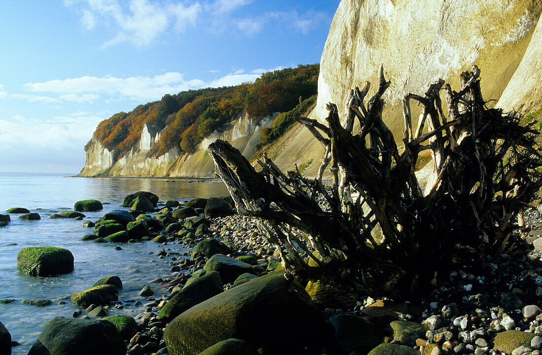 Europe, Germany, Mecklenburg-Western Pomerania, isle of Rügen, Wissower Klinken, chalk cliffs at Jasmund National Park