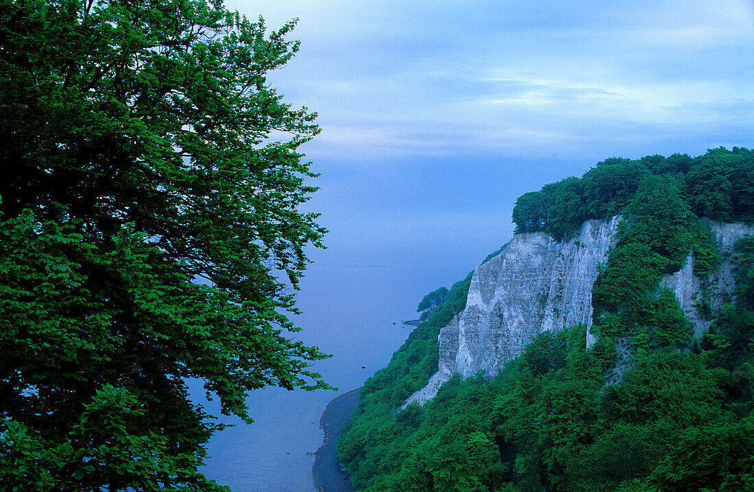 Europe, Germany, Mecklenburg-Western Pommerania, isle of Rügen, chalk cliffs at Jasmund National Park, Victoria-view seen from the Königsstuhl