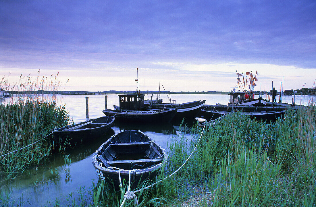 Fishing boats near Gager, Rugen island, Mecklenburg-Western Pomerania, Germany
