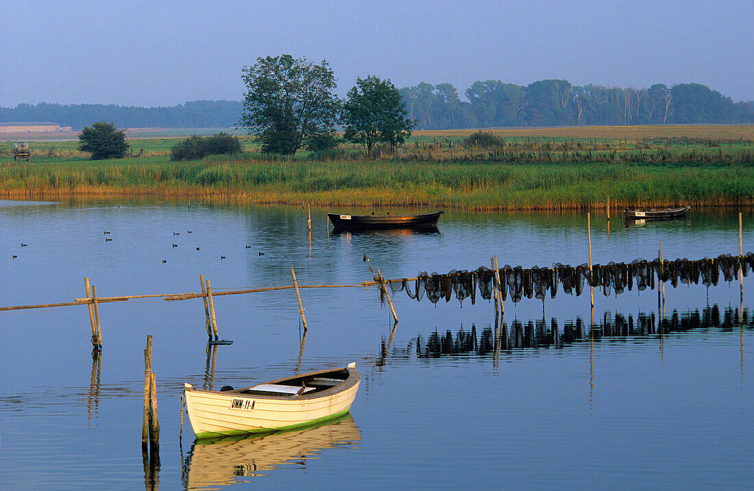 Europe, Germany, Mecklenburg-Western Pomerania, isle of Rügen, landscape on Ummanz