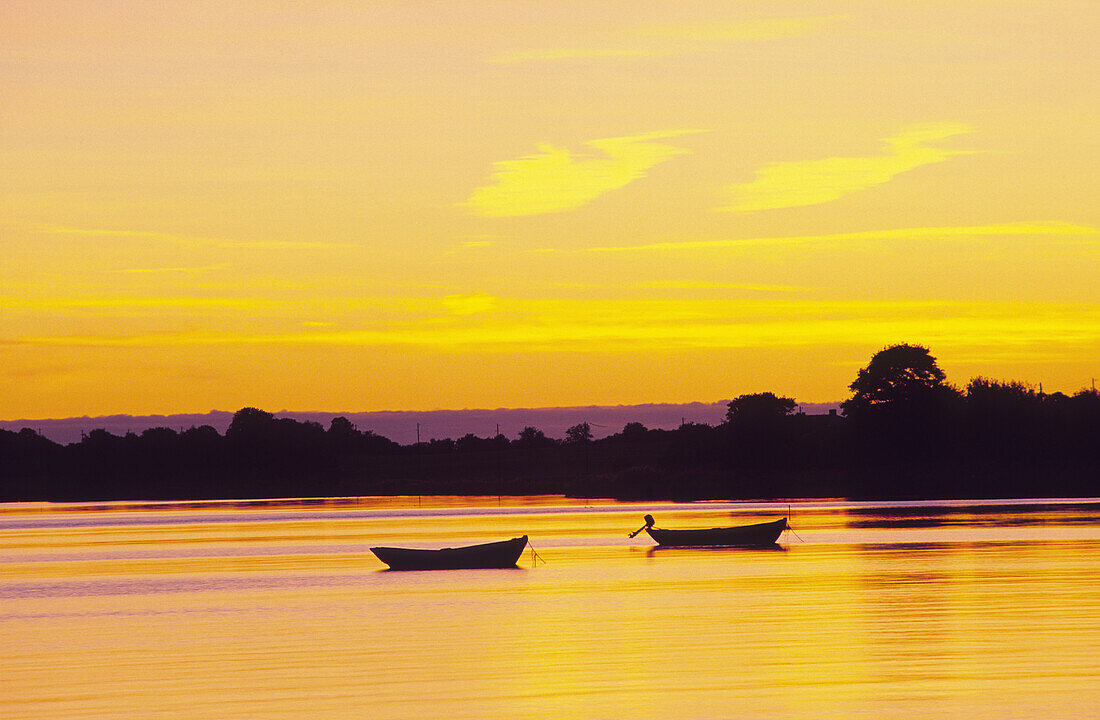 Bay of Greifswald in sunset, Rugen island, Mecklenburg-Western Pomerania, Germany