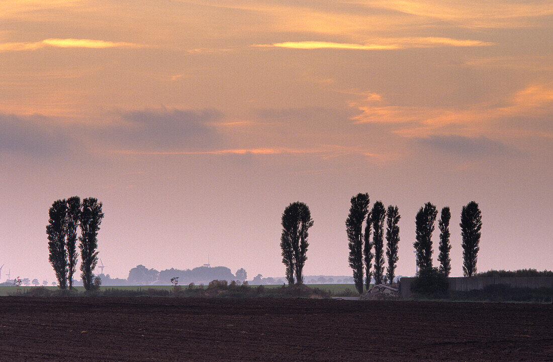 Europa, Deutschland, Mecklenburg-Vorpommern, Insel Rügen, Landschaft bei Fernlüttkevitz