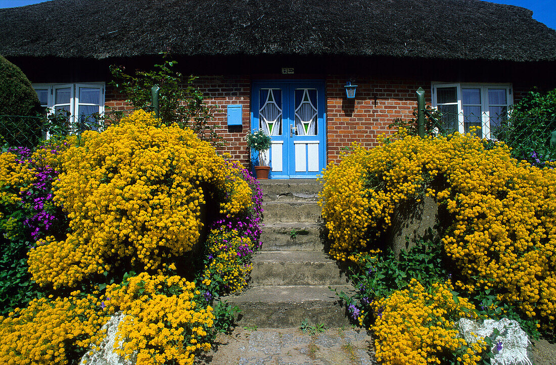 Europe, Germany, Mecklenburg-Western Pomerania, isle of Rügen, traditional house with a thatched roof in Gross Zicker