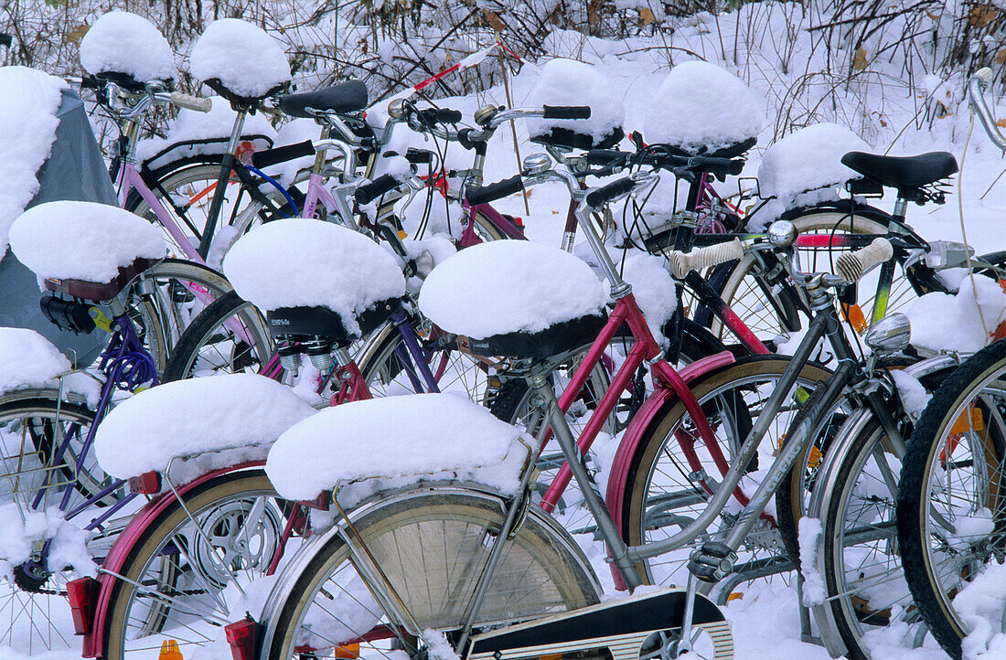 Europe, Germany, Thuringia, Weimar, snow covered bicycles