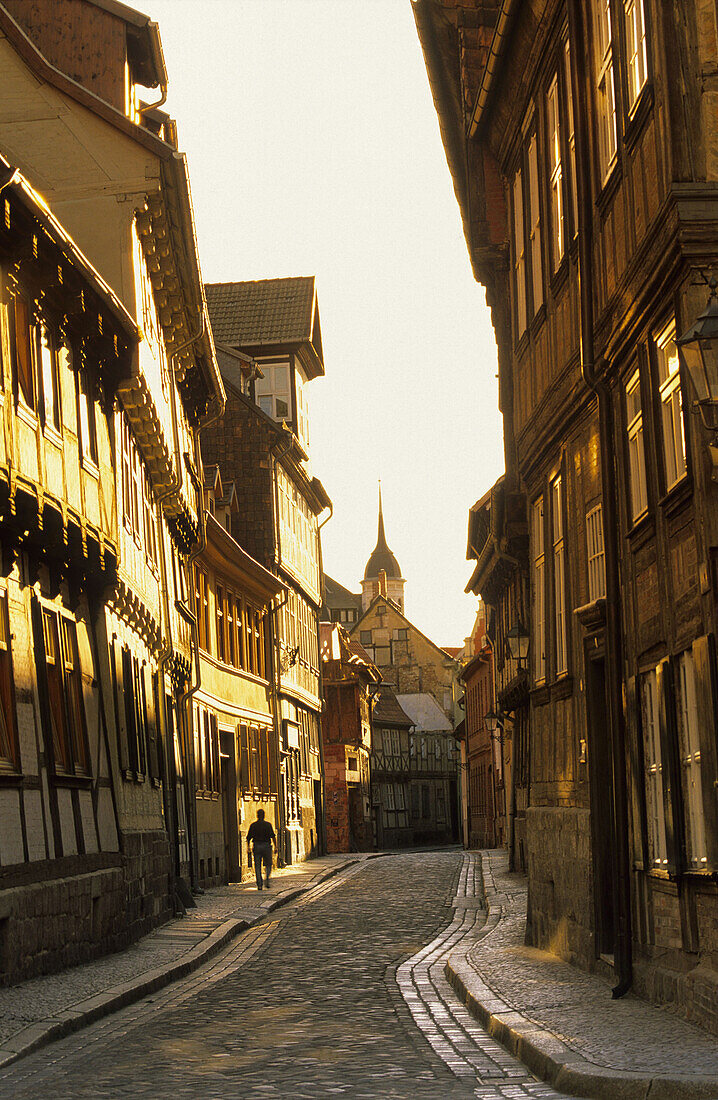 Alley through old town, Quedlinburg, Saxony-Anhalt, Germany