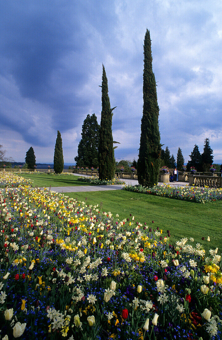 Europe, Germany, Baden-Württemberg, Lake Constance, Mainau Island