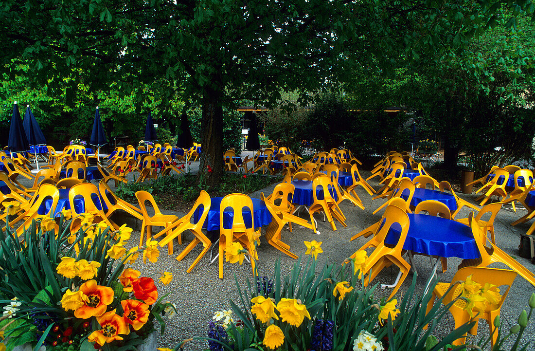 Europa, Deutschland, Baden-Württemberg, Bodensee, Insel Mainau