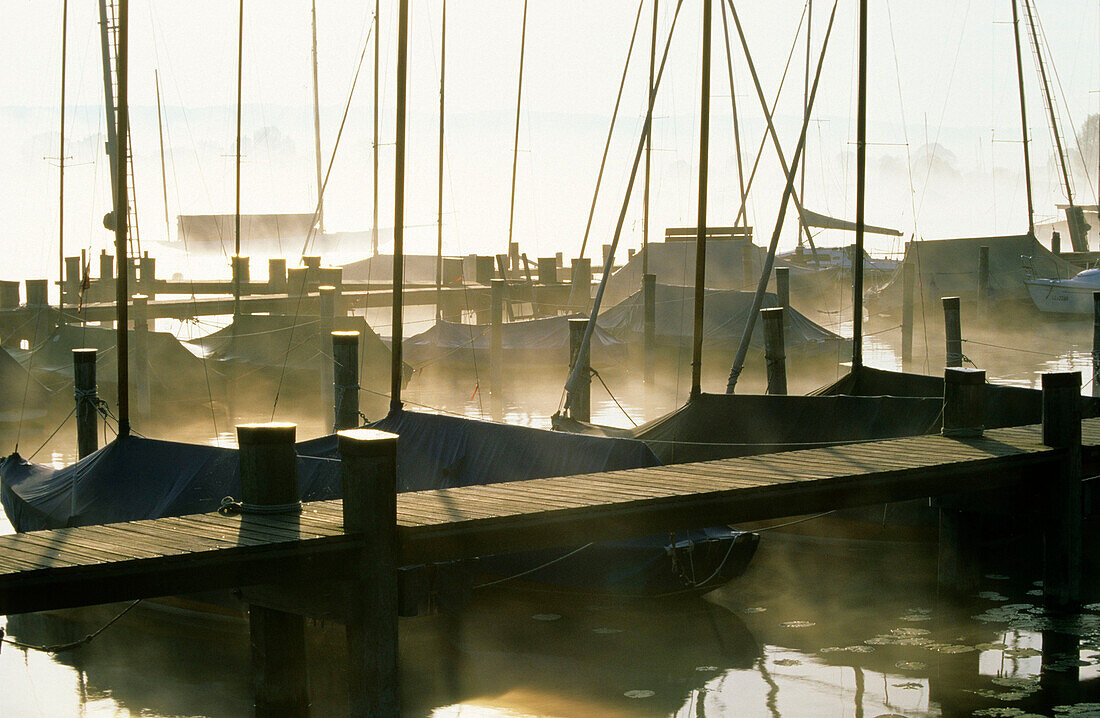 Europe, Germany, Bavaria, near Diessen, Ammersee, small sailing boats at the landing stage in the haze