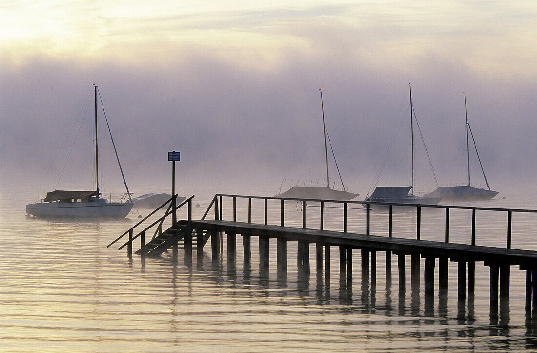 Sail boats in fog on lake Ammersee, near Riederau, Diessen am Ammersee, Bavaria, Germany