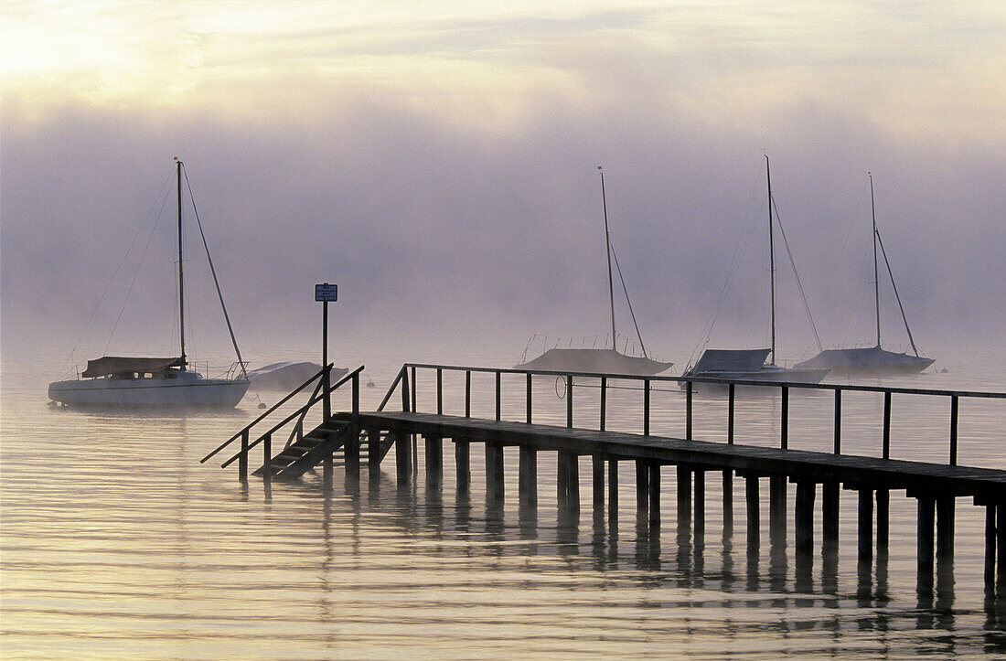 Segelboote auf dem Ammersee im Dunst, bei Riederau, Dießen am Ammersee, Bayern, Deutschland