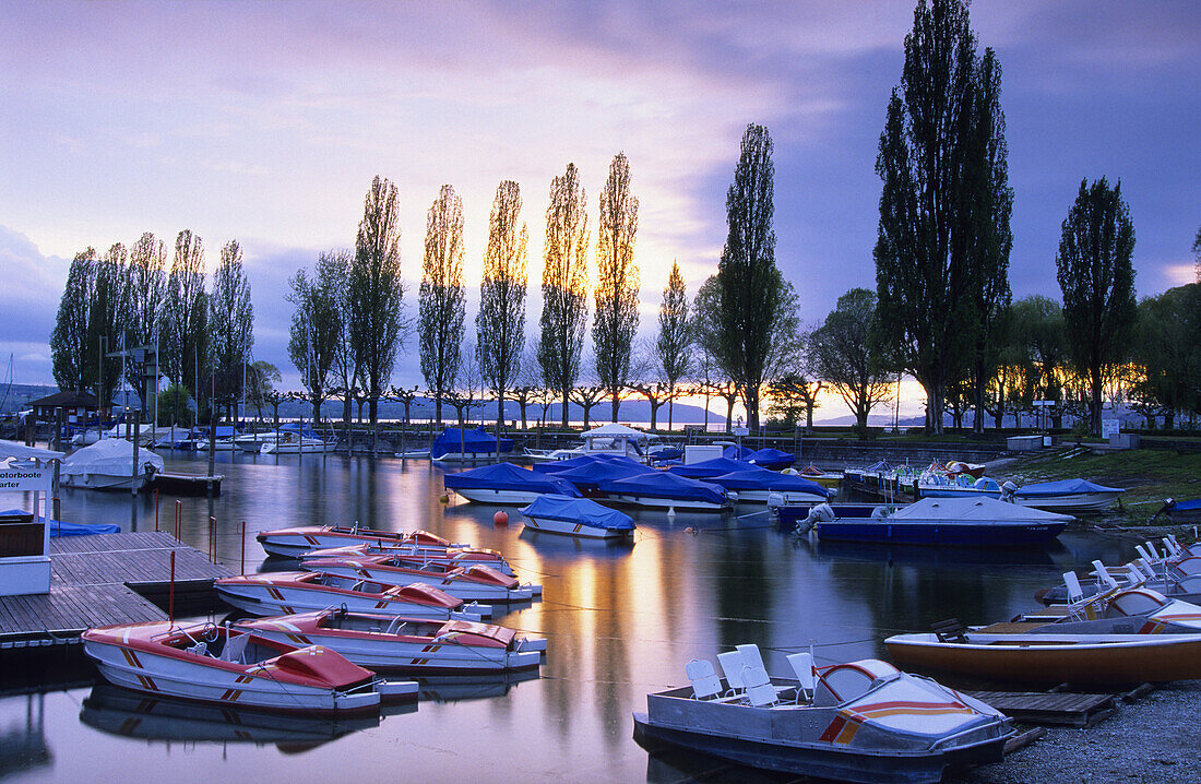 Paddleboats at shore of Lake Constance, Uhldingen-Muhlhofen, Baden-Wurttemberg, Germany