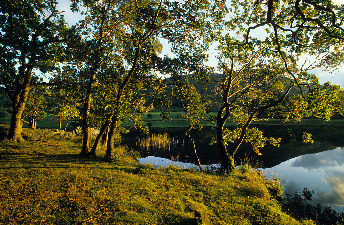 Europe, England, Cumbria, lLake District, Rydal Water