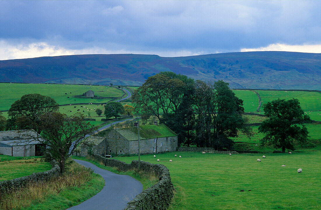 Europe, England, North Yorkshire, landscape near Hebden