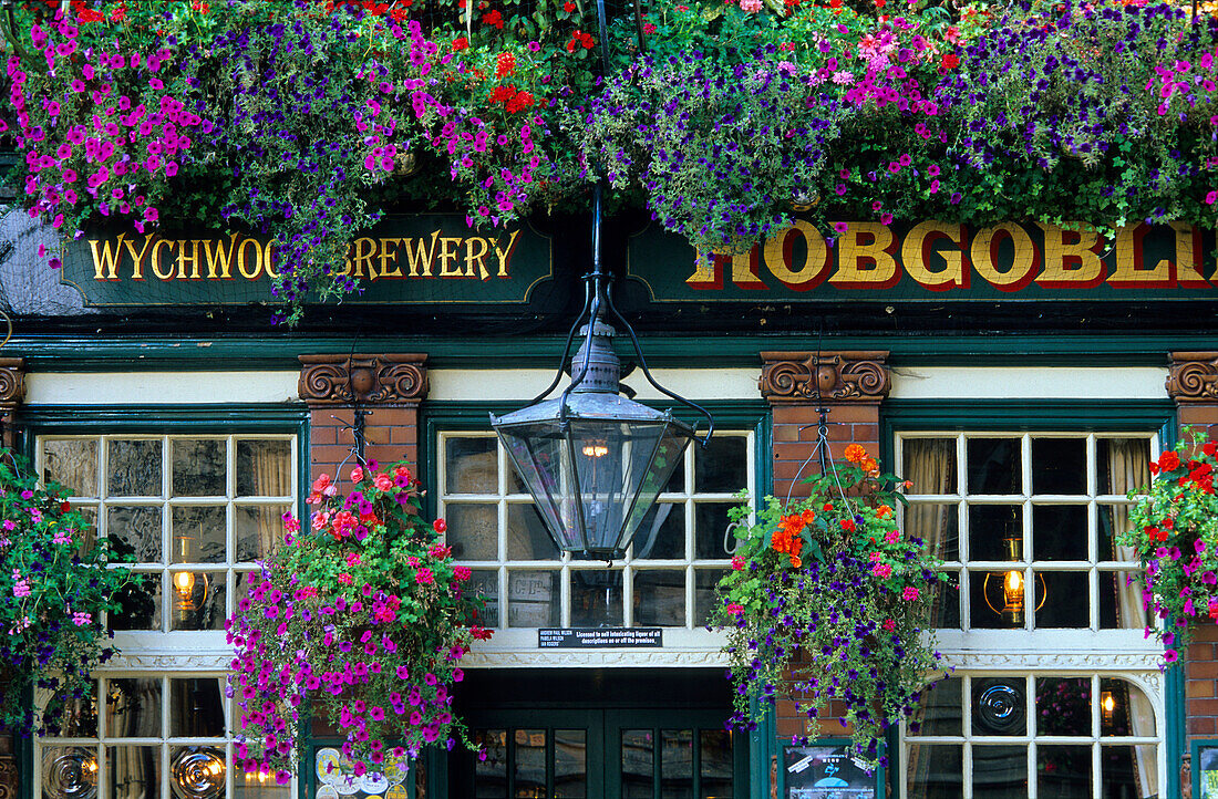 Europa, England, Oxfordshire, Oxford, Pub Hobgoblin