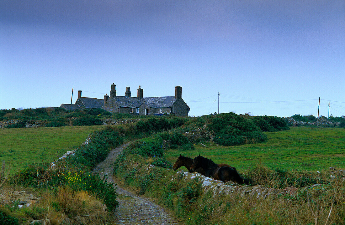 Europa, England, Cornwall, Cottage in Botallack