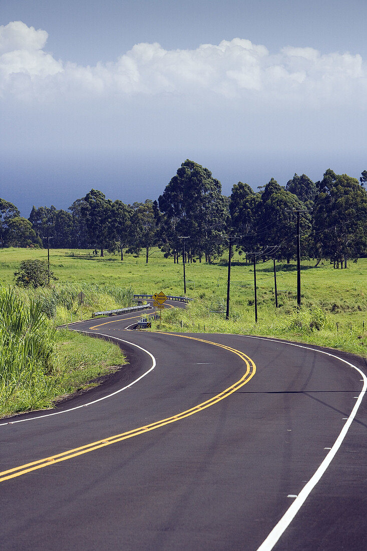 Oct. 2007. USA, Hawaii State. Big Island (Hawai Island). Hamakua Coast