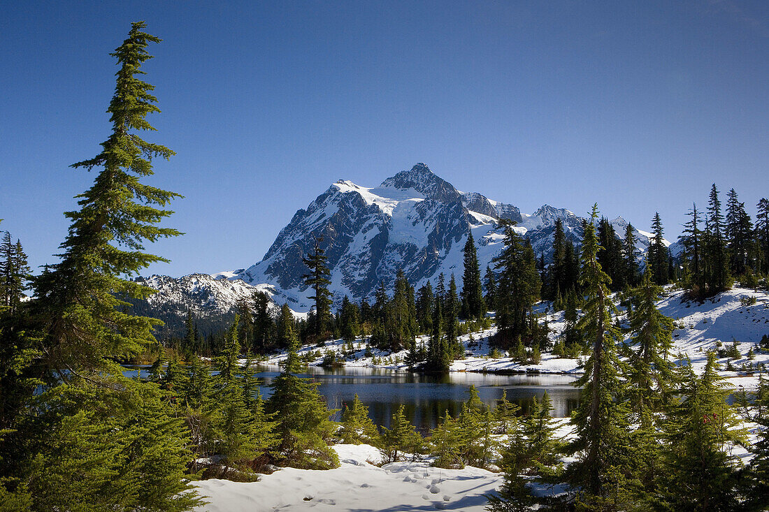 Oct. 2007. USA. Washington State. Heather Meadows. Picture Lake and Mount Shuksan