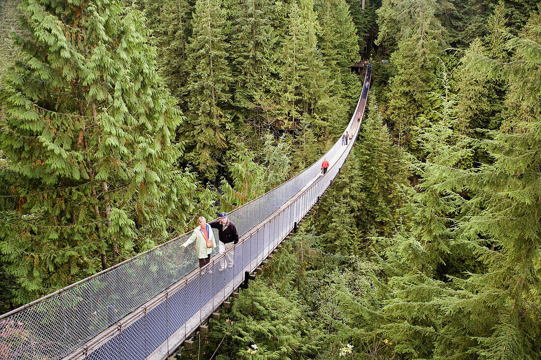 Nov. 2007. Canada. British Columbia. Vancouver City. Capilano suspension bridge.