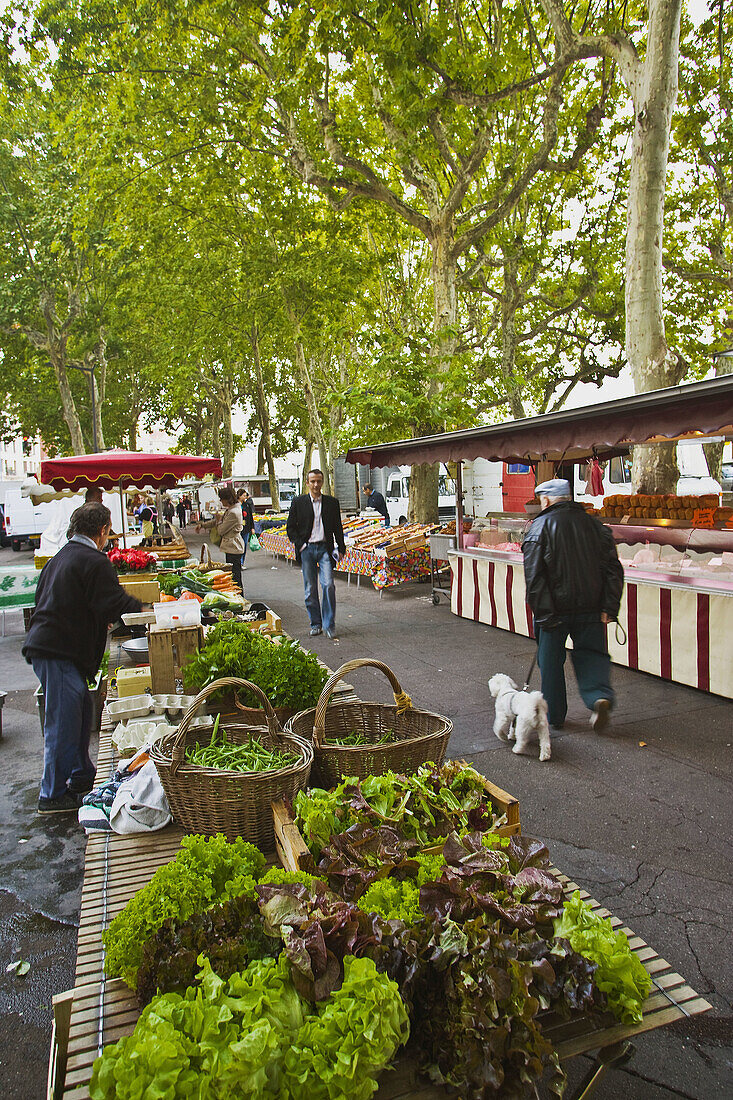 Market of Quai Saint-Antoine, Lyon. Rhône-Alpes, France