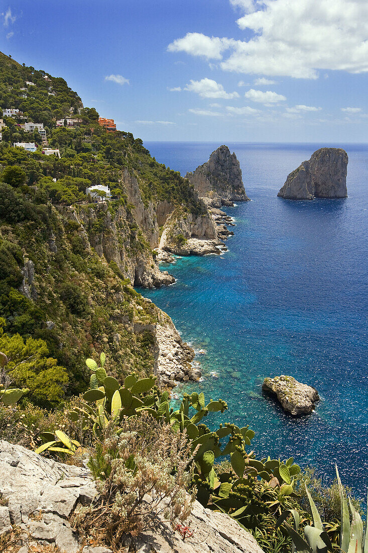 The island and the Faraglioni from the Giardini (gardens) di Augusto. Capri. Italy.