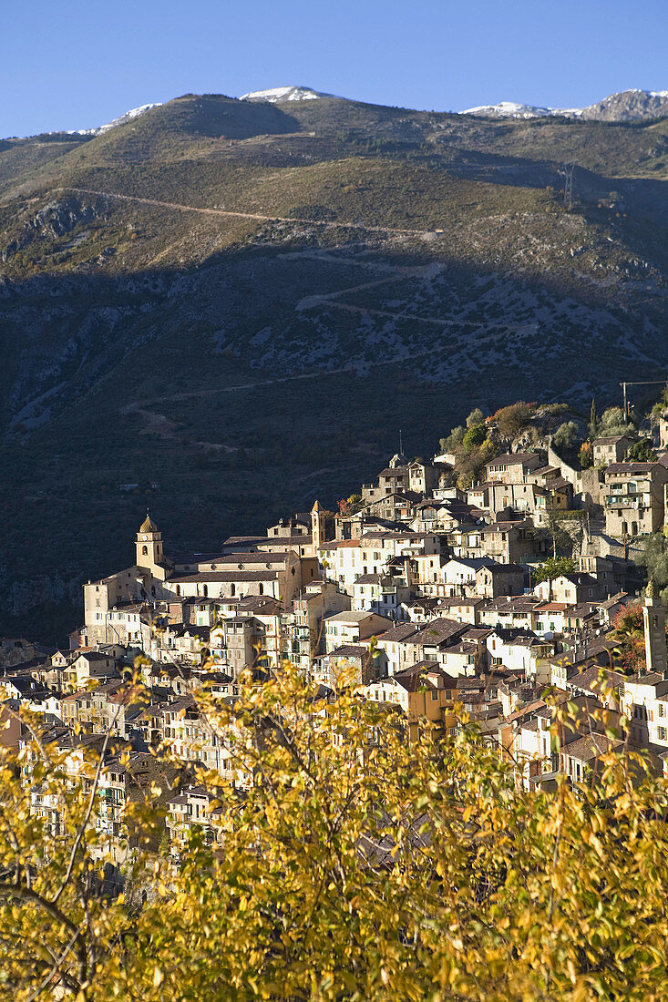 Village of Saorge, perched on a mountain in Roya Bevera Valley. Alpes Maritimes (06). Provence. France