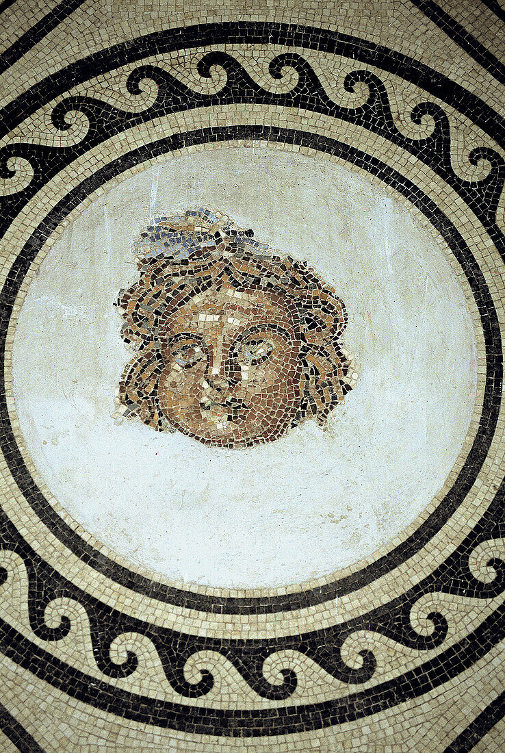 Roman mosaic of head of Medusa in the Alcazar. Cordoba. Andalusia, Spain