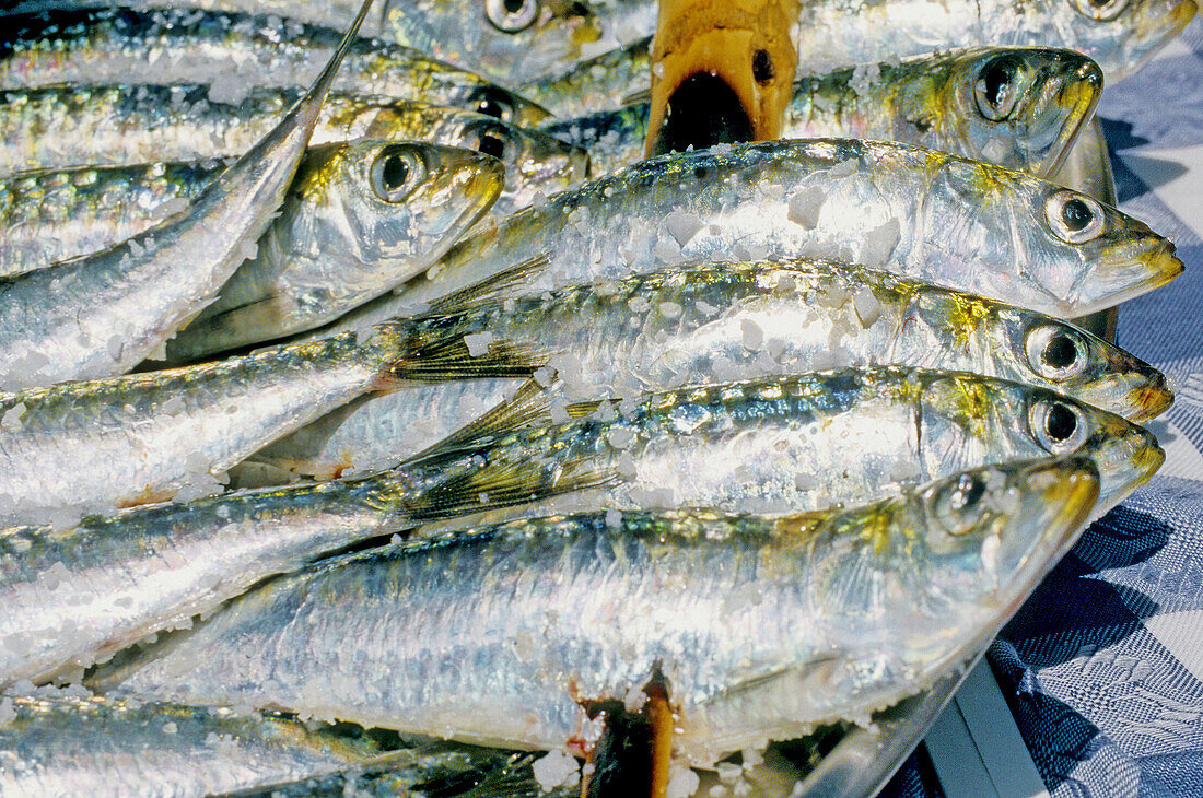 Sardines, Marbella. Malaga province, Andalucia, Spain