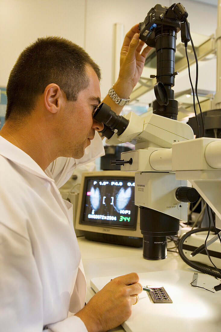 Fishing biology laboratory. Polishing and reading of otoliths and gonads. AZTI-Tecnalia. Technological Centre specialised in Marine and Food Research. Pasaia, Gipuzkoa, Euskadi. Spain.