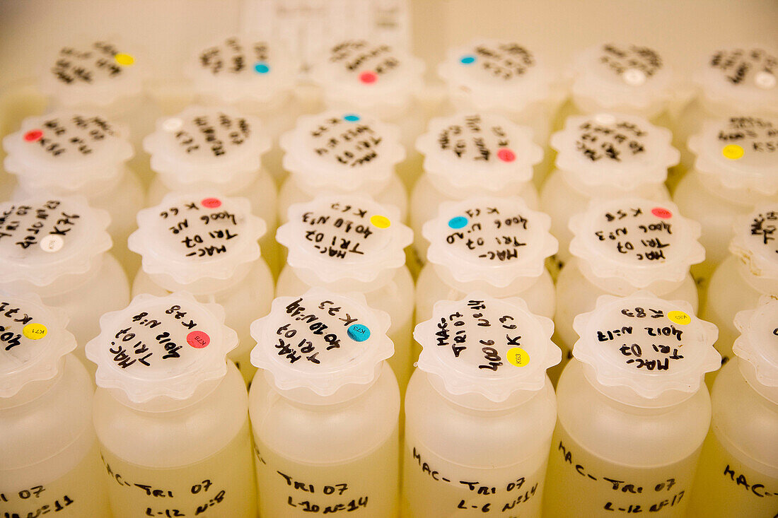 Water samples. Plankton laboratory. AZTI-Tecnalia. Technological Centre specialised in Marine and Food Research. Pasaia, Gipuzkoa, Euskadi. Spain.