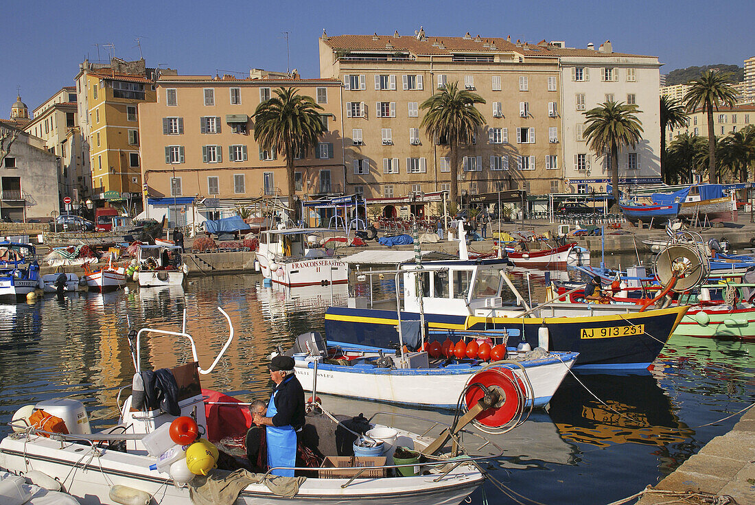 Fishing harbour at Ajaccio. Corsica. France