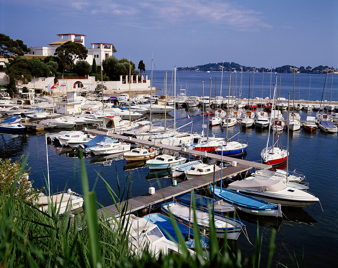 View from Port des Fourmis to Villa Kerylos, Beaulieu-sur-Mer. Alpes-Maritimes, France