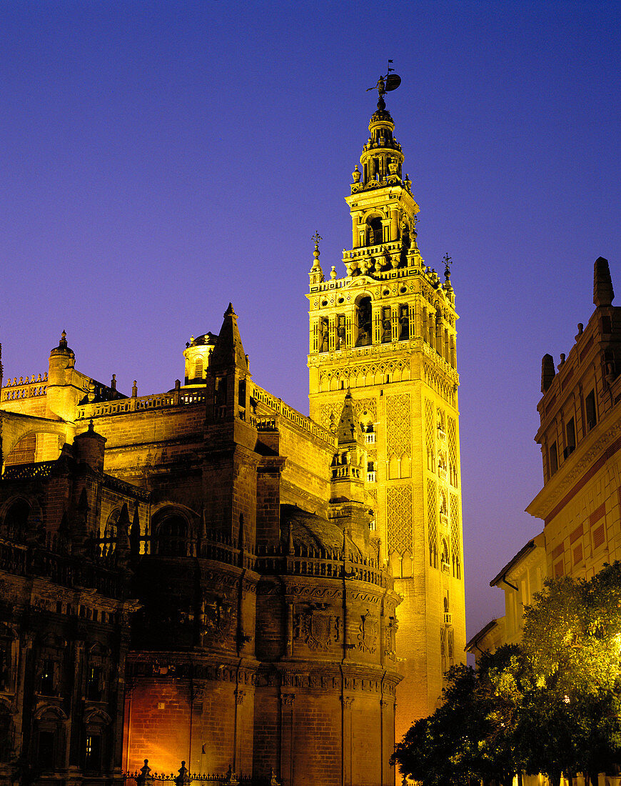 Giralda tower, Sevilla. Andalucia, Spain