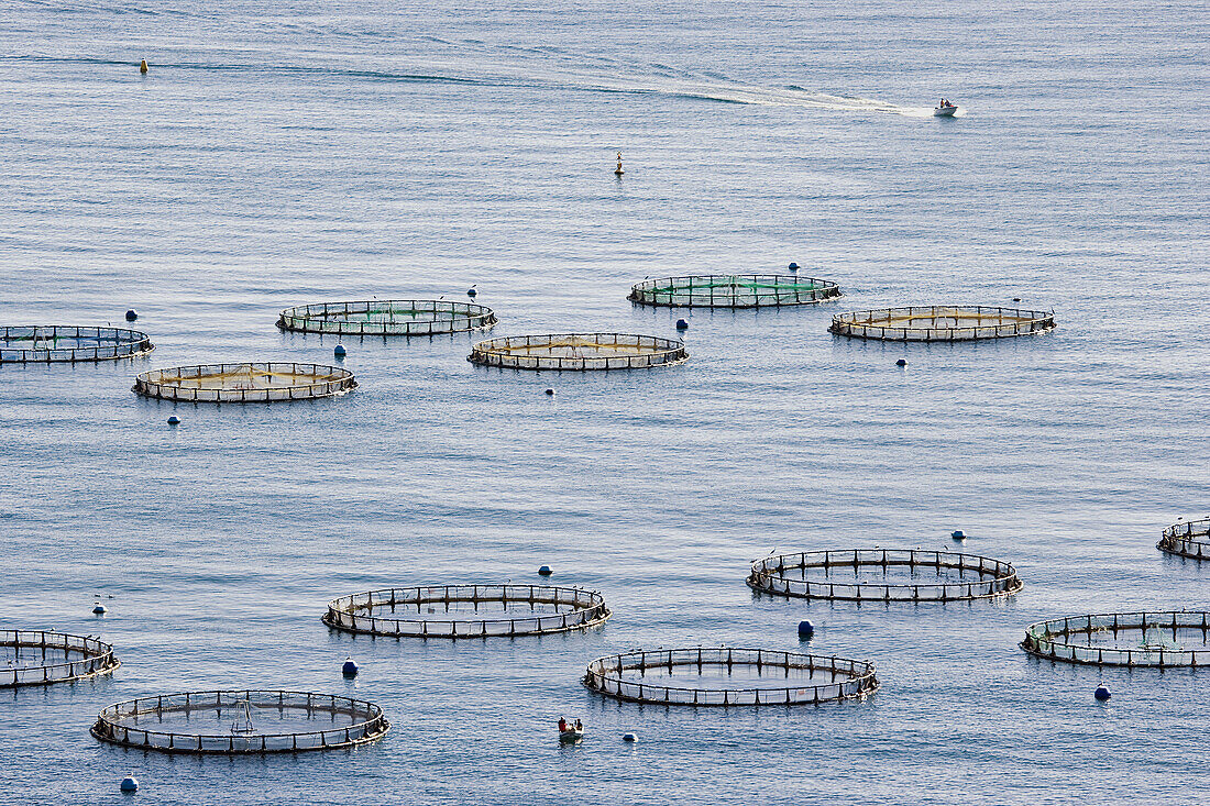 Near Salobreña Costa Tropical Granada Province Spain Aquaculture Fish farm